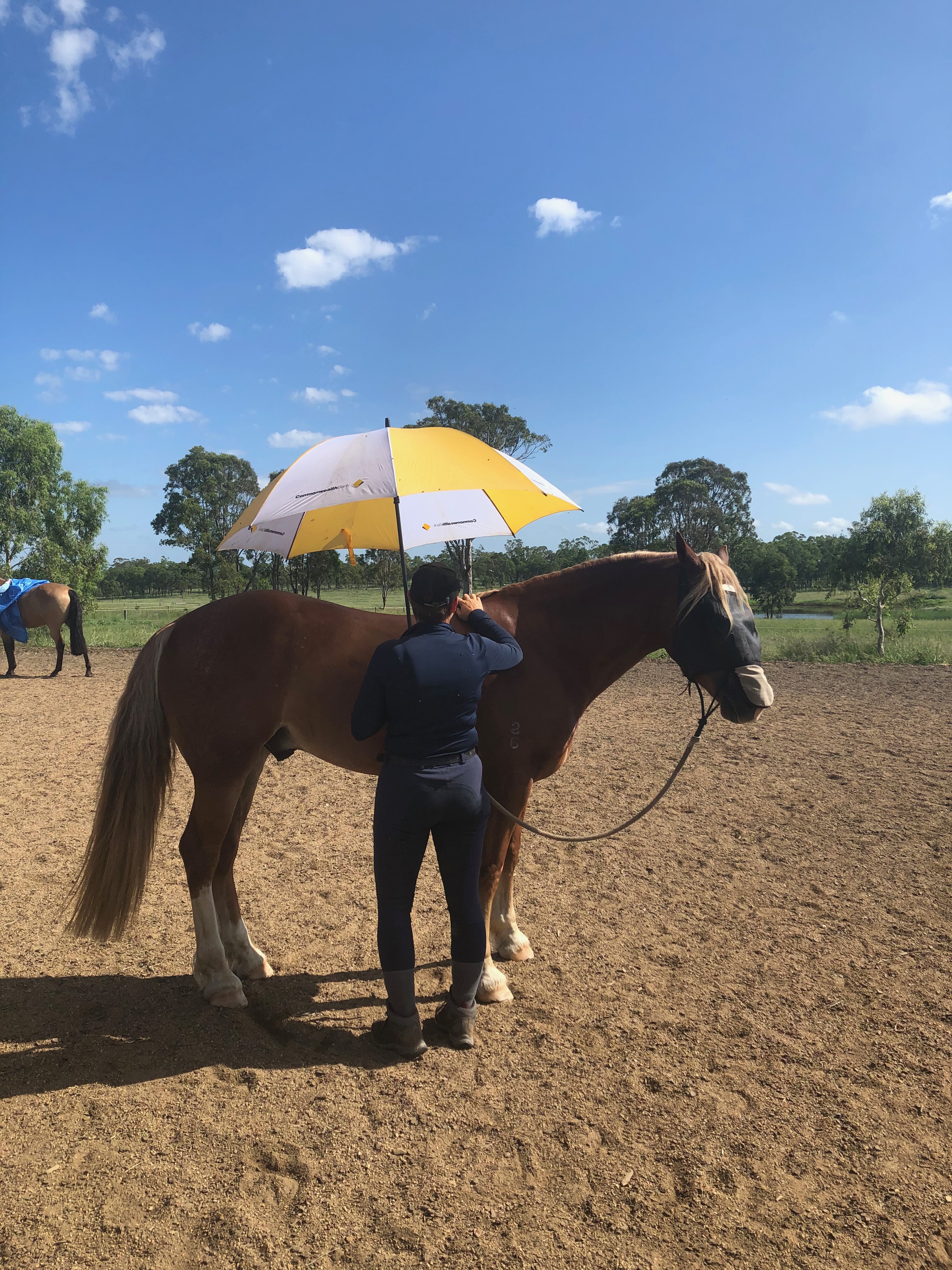 Young/Green Horse Anzac Day Clinic.