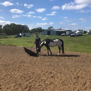 Young/Green Horse Clinic 31st May 1st June