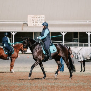Competition Ready September 20th
