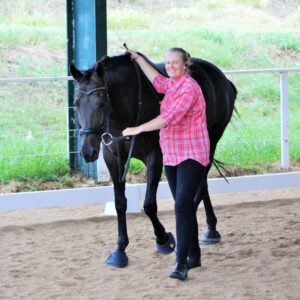 In Hand Foundations Clinic November 22nd